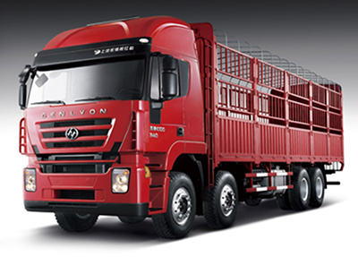 Camión de carga Hongyan Genlyon 8×4